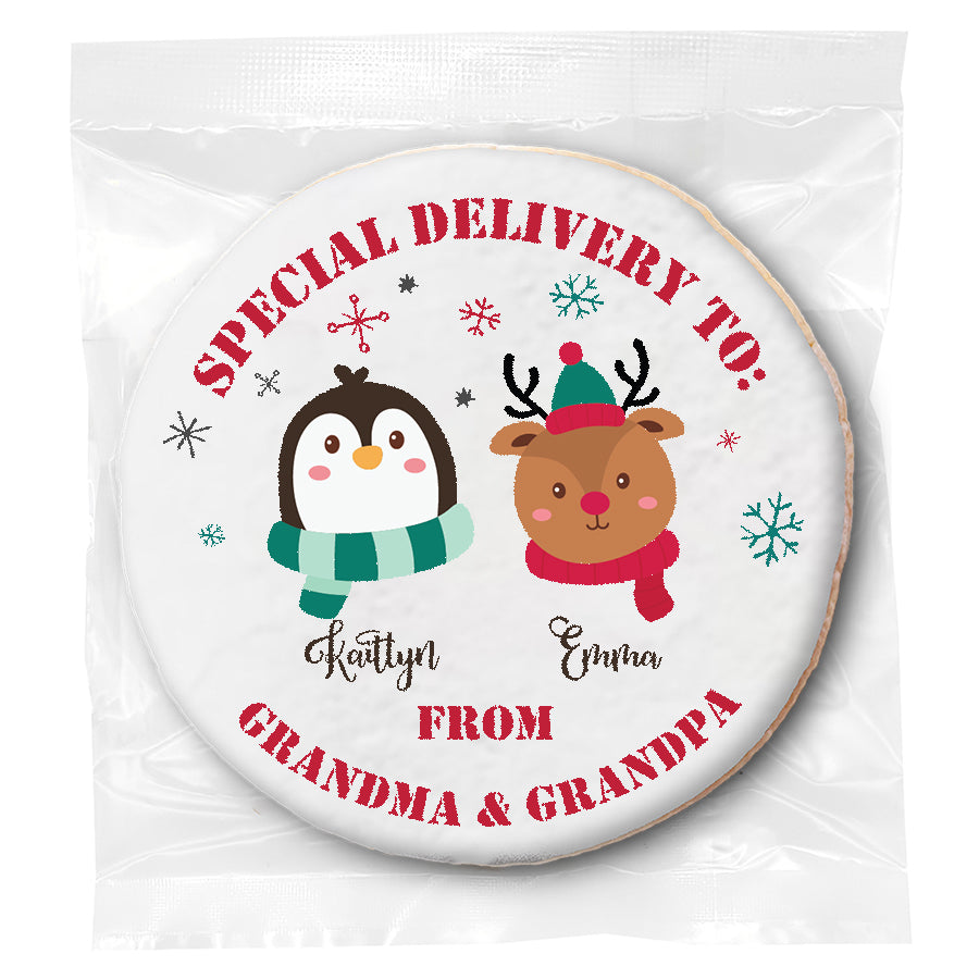 Special Delivery Character Choice - Personalized Direct Print On Round Sugar Cookie
