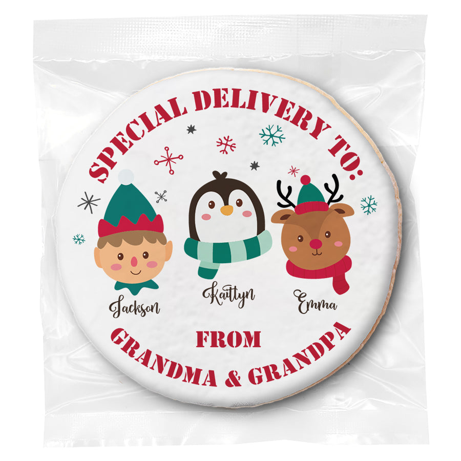 Special Delivery Character Choice (3) - Personalized Direct Print On Round Sugar Cookie