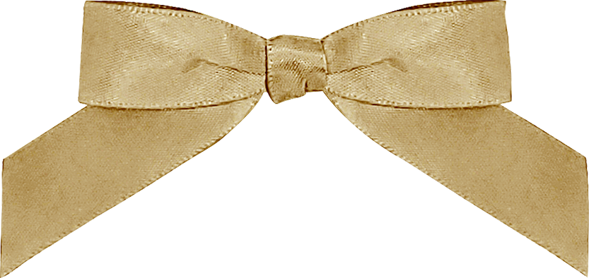 Add Favor Bag & Colored Bow