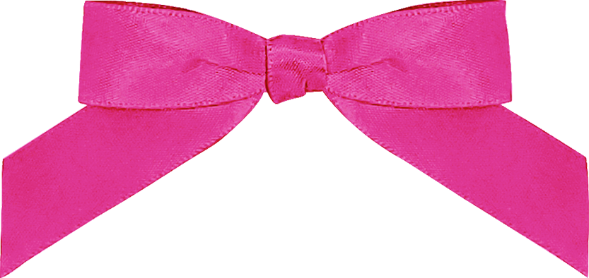 Add Favor Bag & Colored Bow