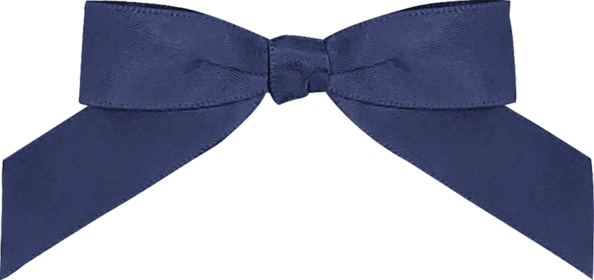 Add Favor Bag & Colored Bow