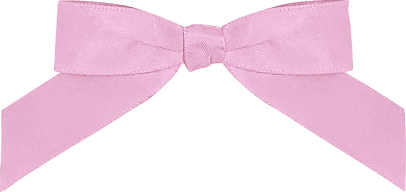 Add Favor Bag & Colored Bow