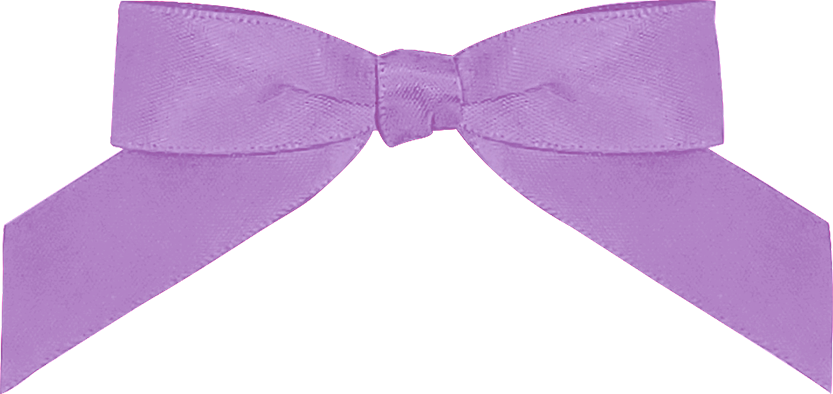 Add Favor Bag & Colored Bow