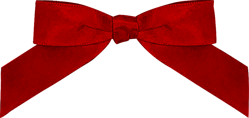 Add Favor Bag & Colored Bow