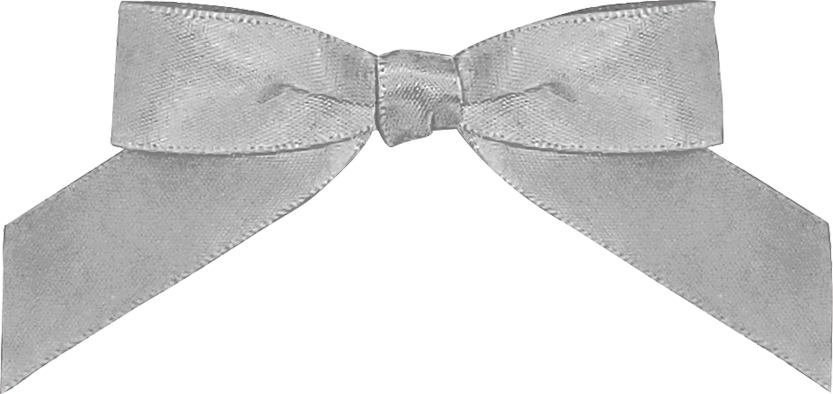 Add Favor Bag & Colored Bow