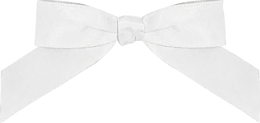 Add Favor Bag & Colored Bow